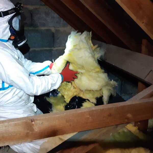 3 removal of old insulation