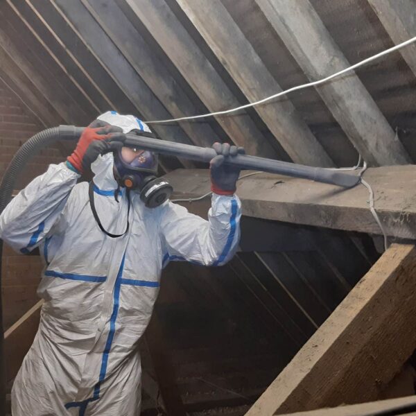 8 cleaning phase