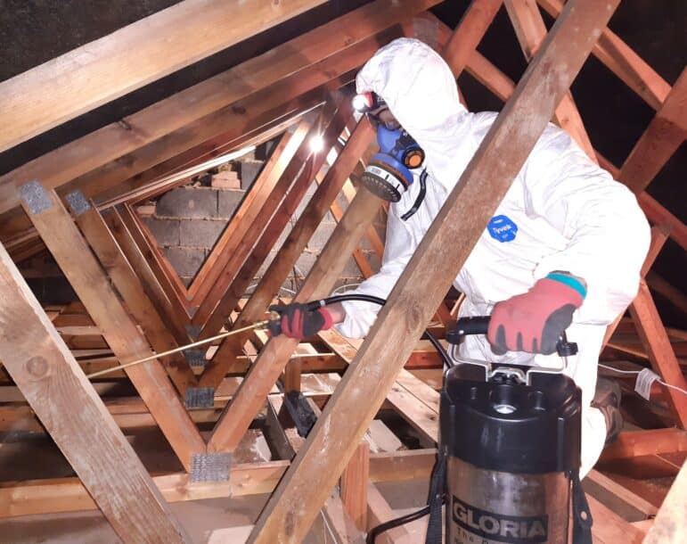Loft Disinfection Service