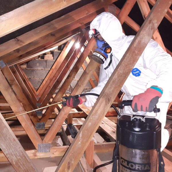disinfection using sprayer