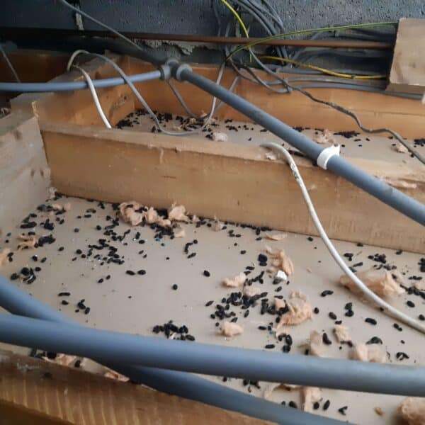 old contaminated insulation removed (2)