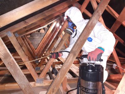 Loft Disinfection Service